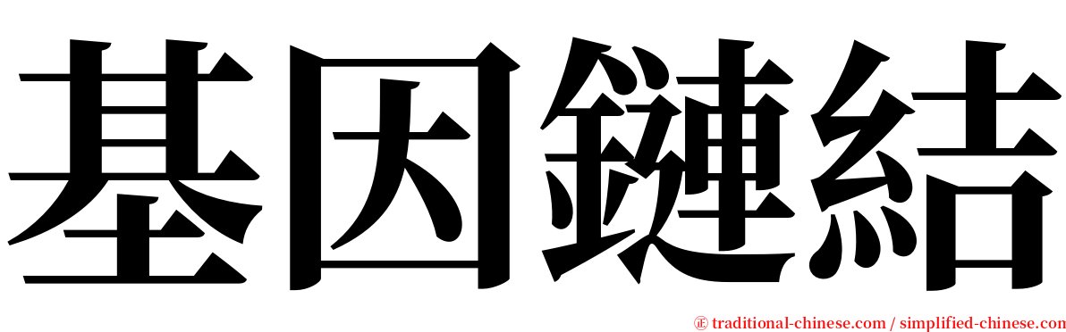 基因鏈結 serif font