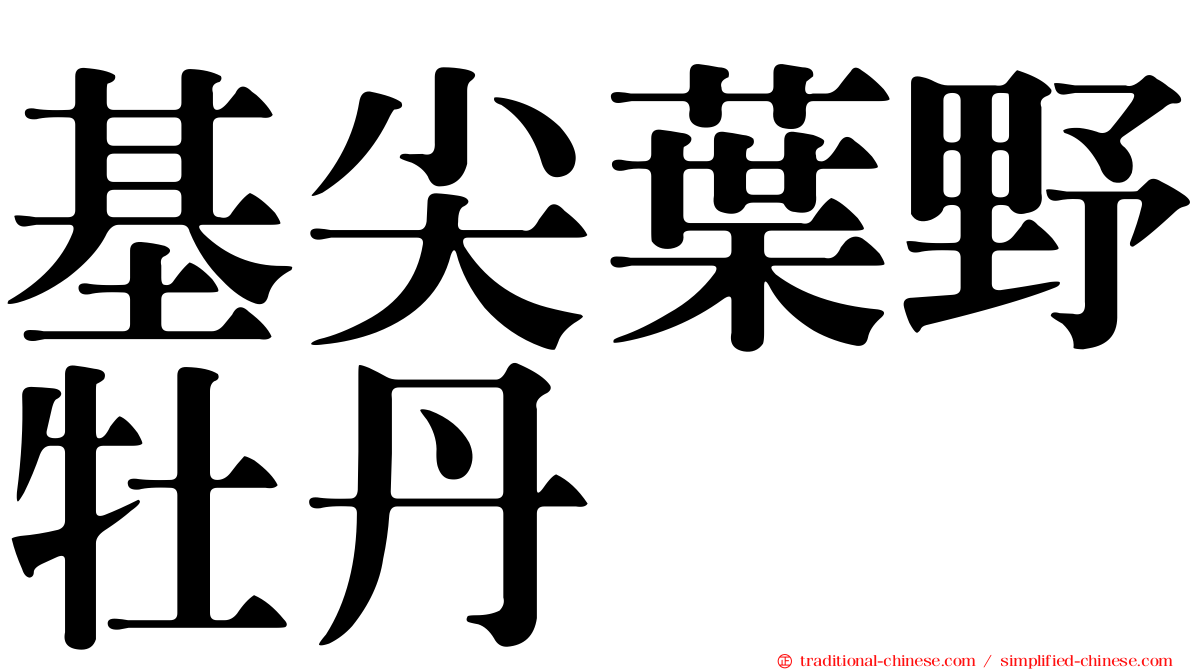 基尖葉野牡丹