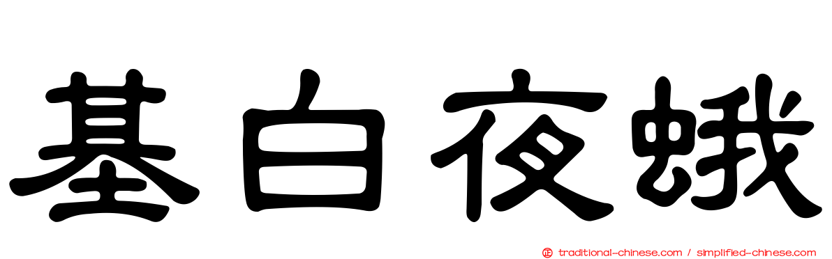 基白夜蛾