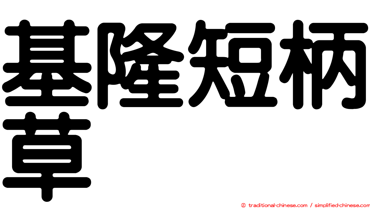 基隆短柄草
