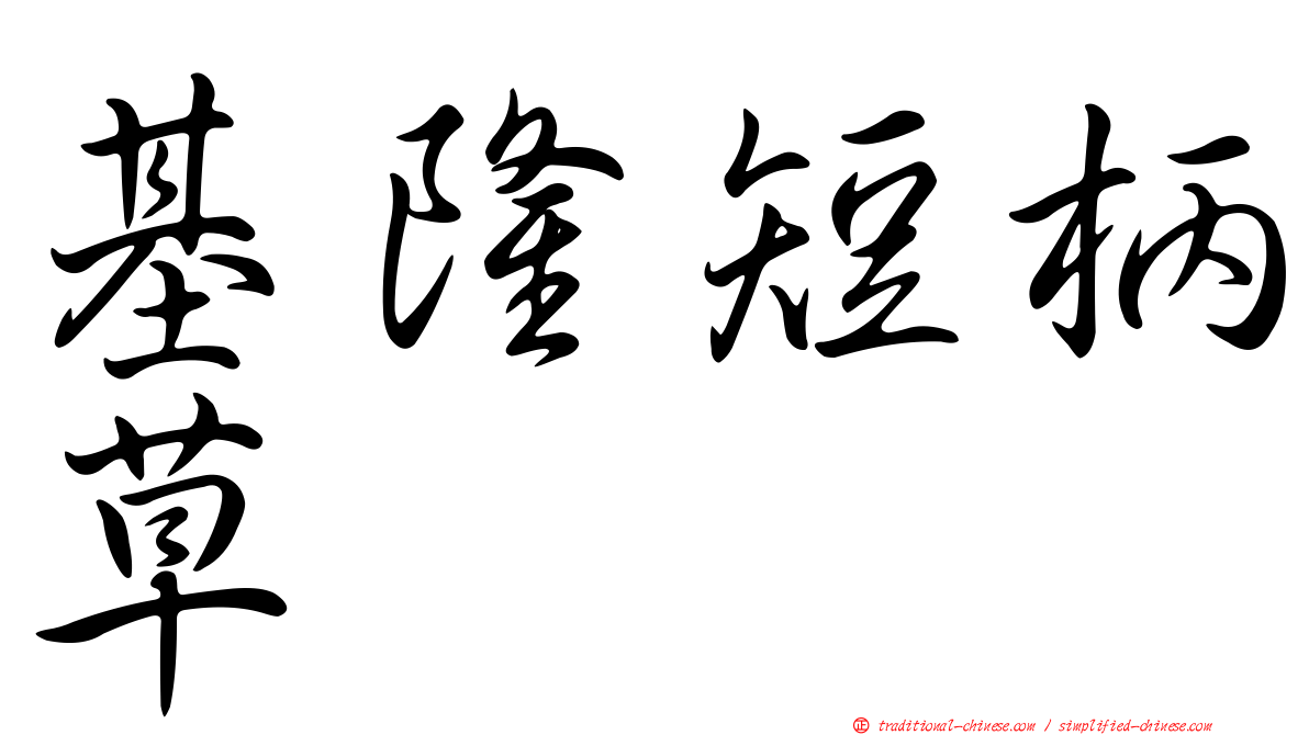 基隆短柄草