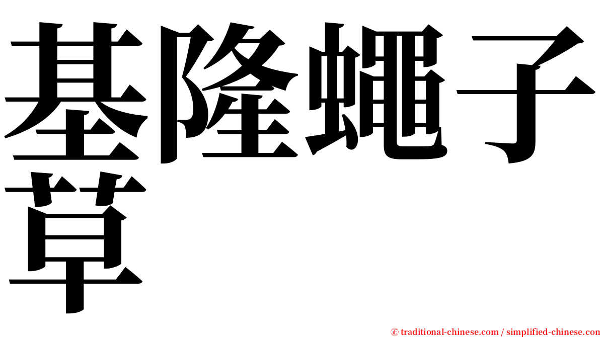 基隆蠅子草 serif font
