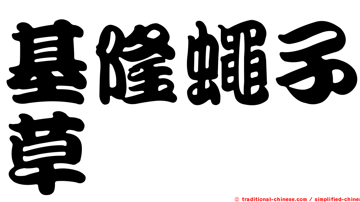 基隆蠅子草
