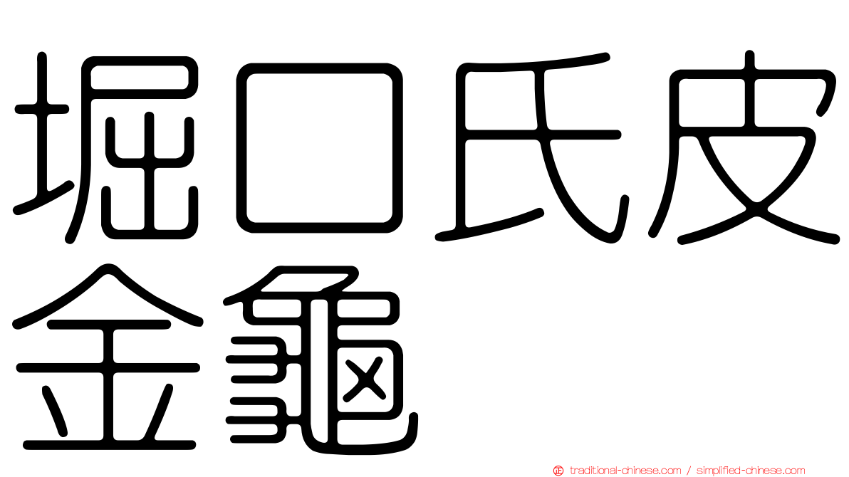 堀口氏皮金龜