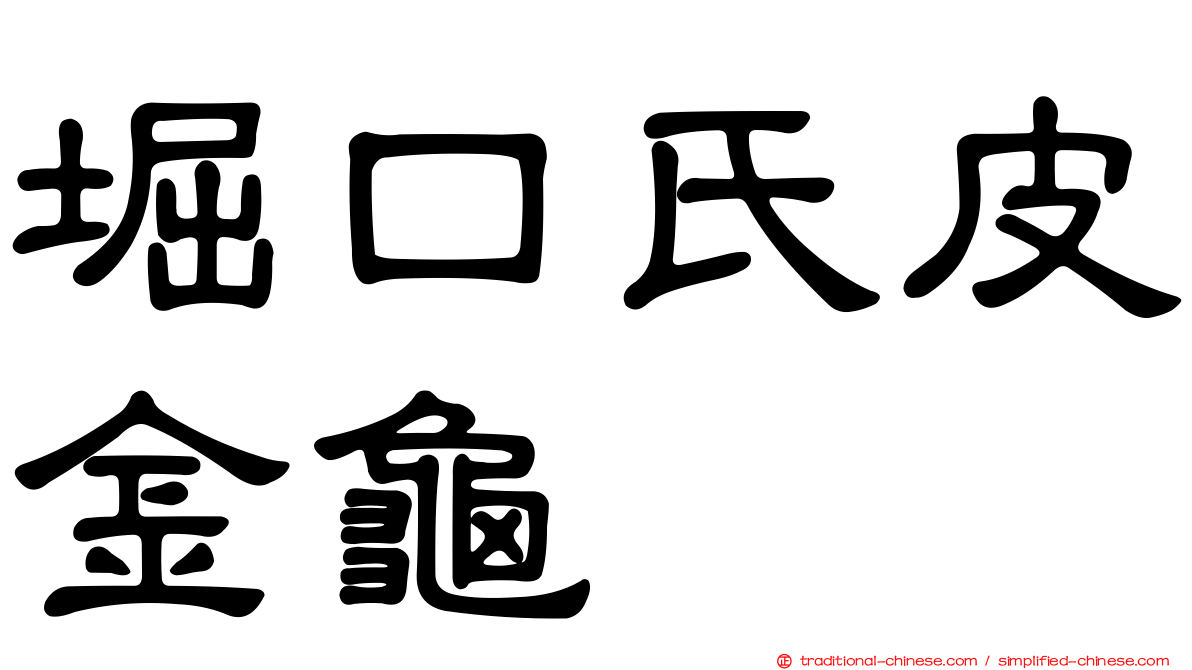 堀口氏皮金龜