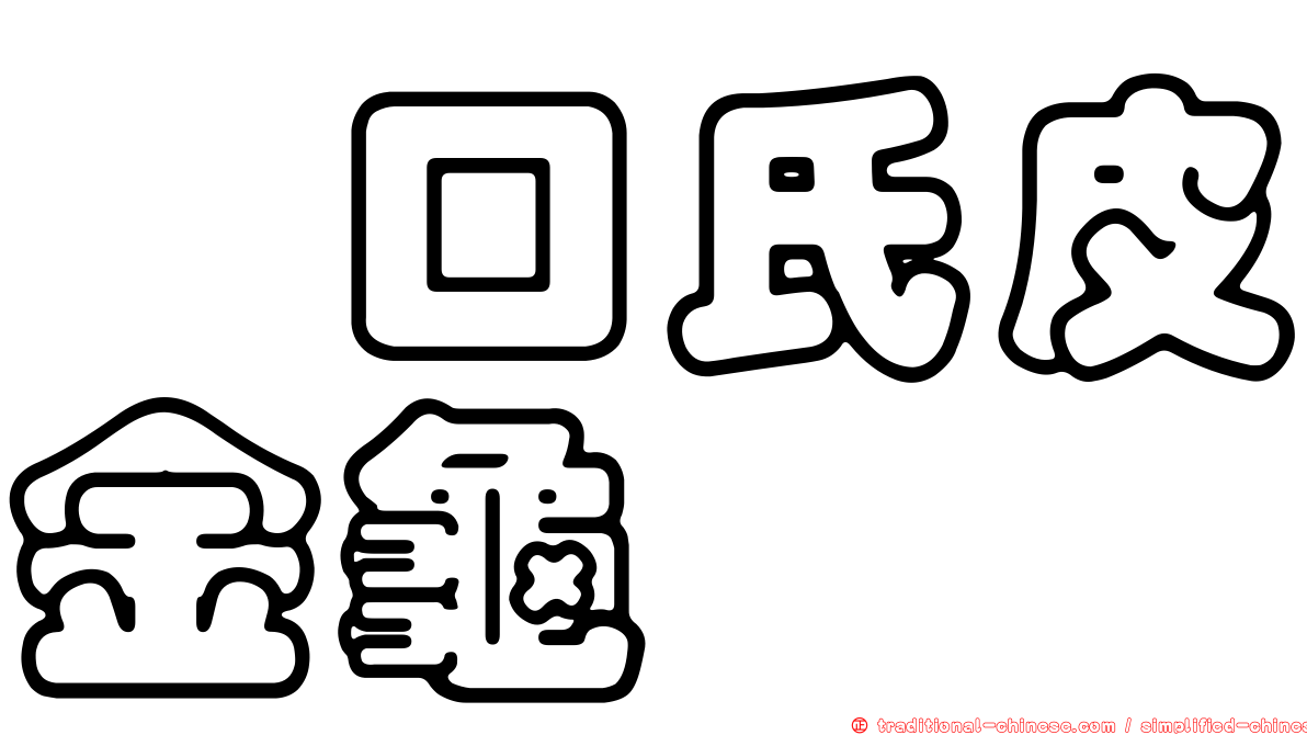 堀口氏皮金龜