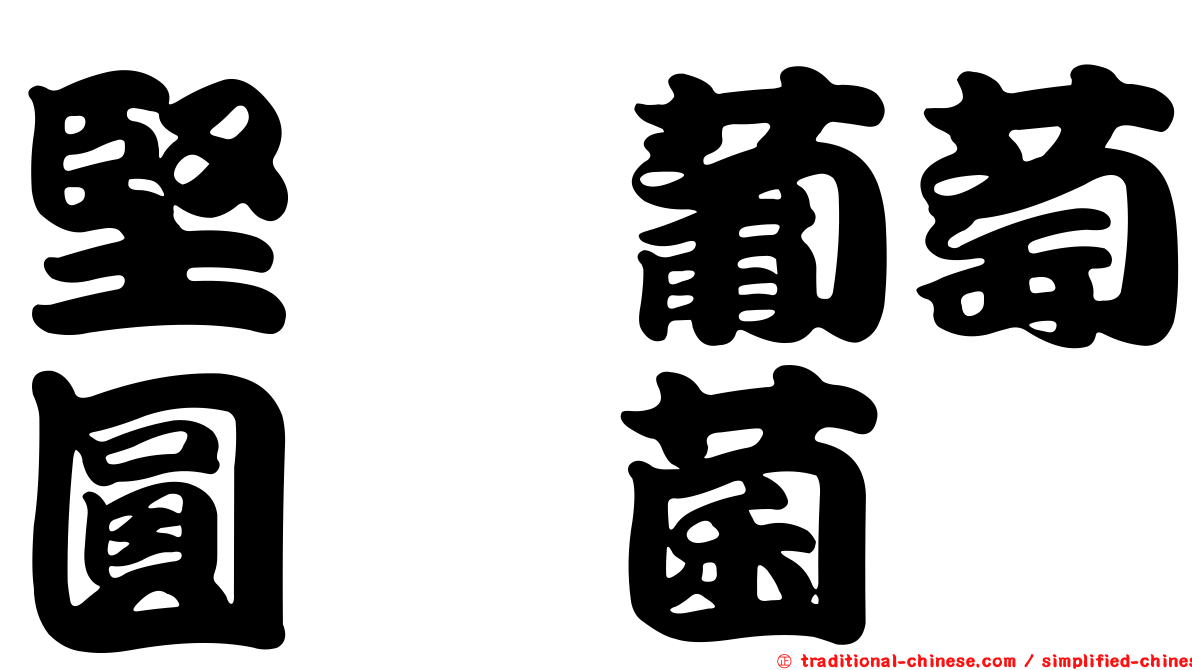 堅孢葡萄圓孢菌