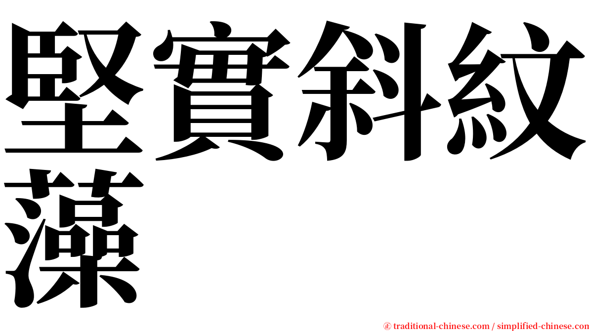 堅實斜紋藻 serif font