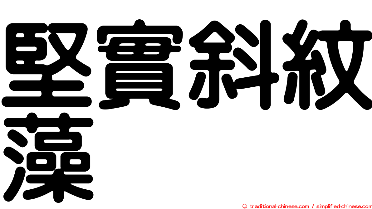 堅實斜紋藻