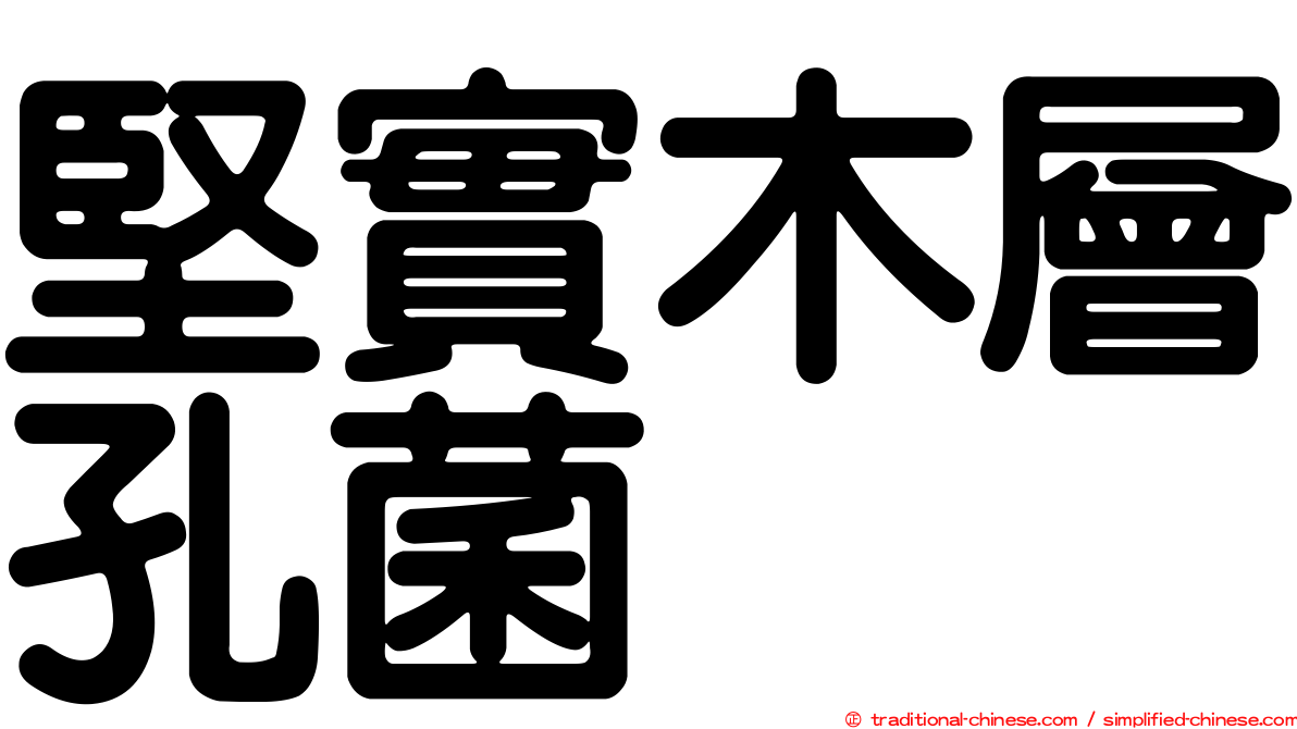 堅實木層孔菌