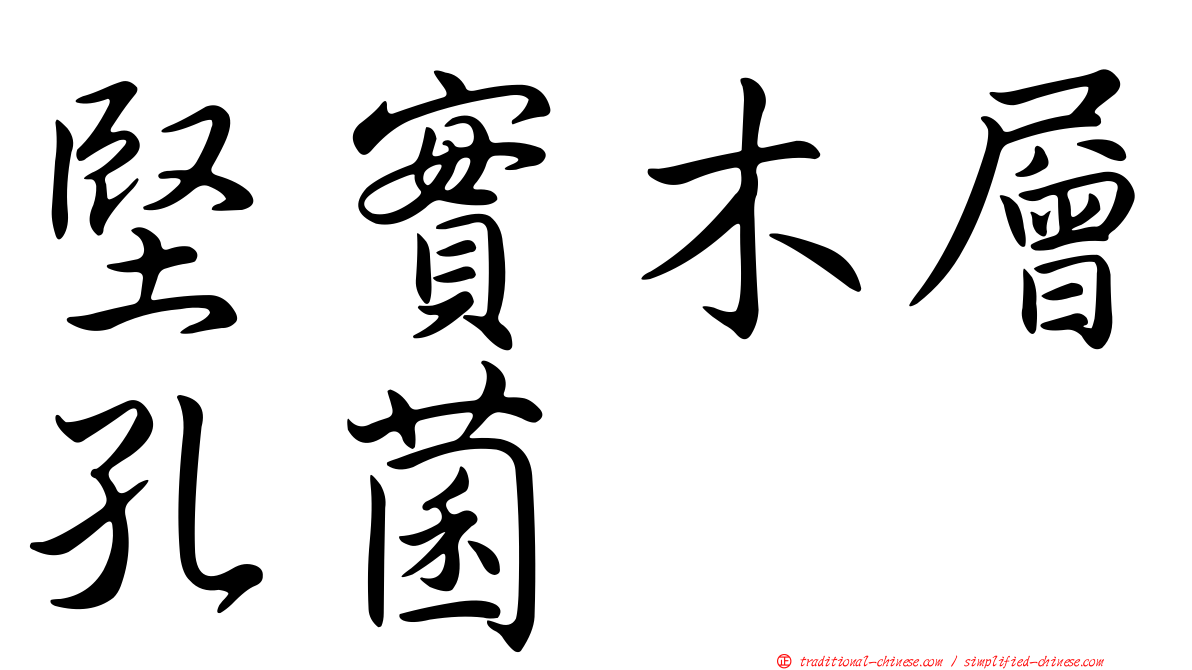 堅實木層孔菌