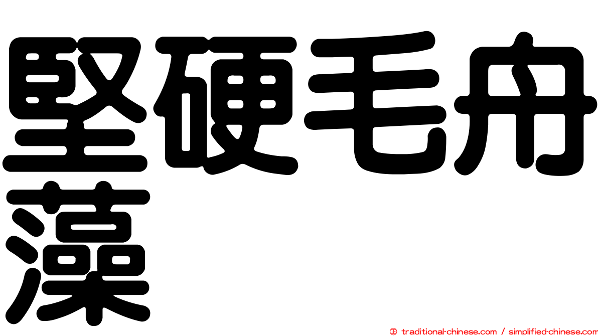 堅硬毛舟藻