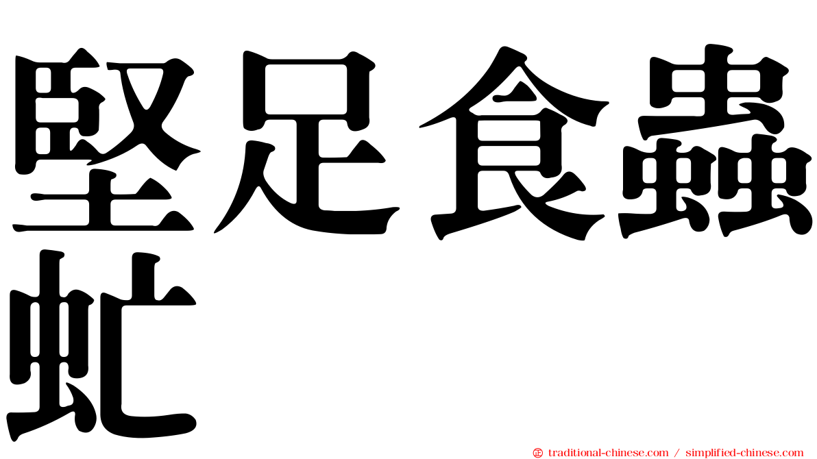 堅足食蟲虻
