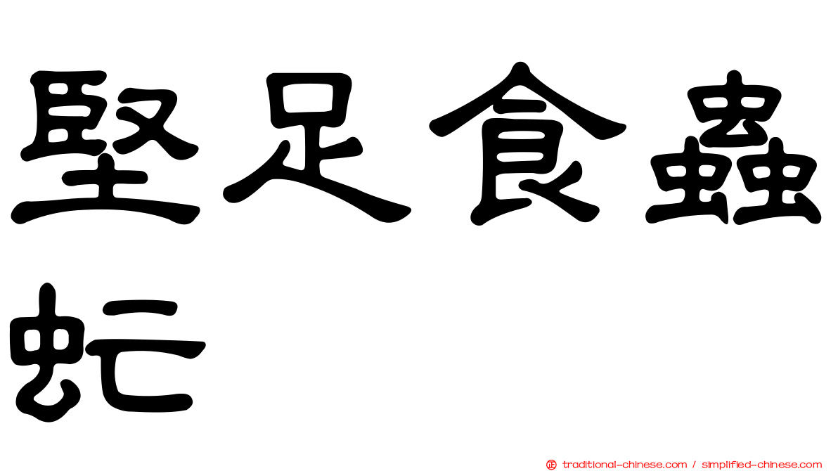 堅足食蟲虻