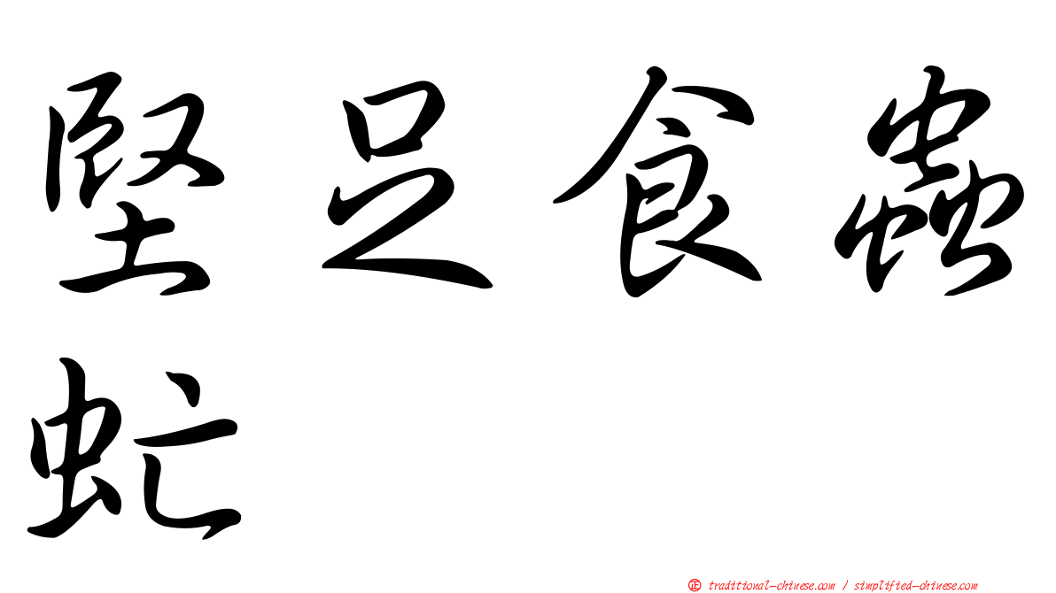 堅足食蟲虻