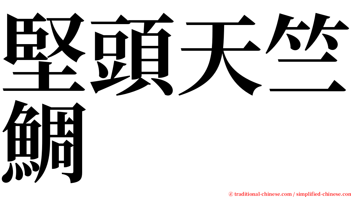 堅頭天竺鯛 serif font