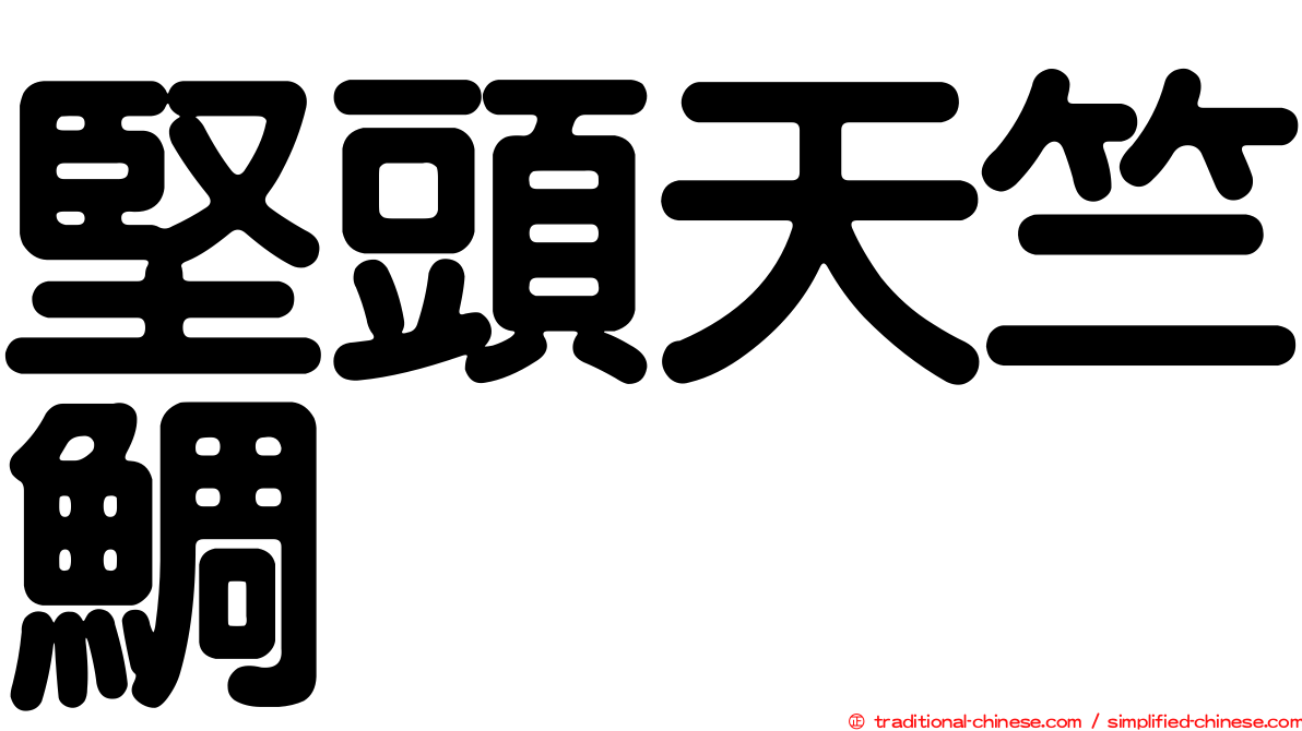 堅頭天竺鯛