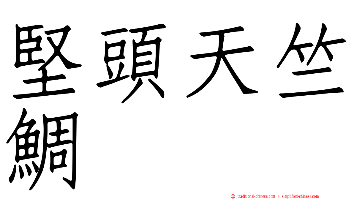 堅頭天竺鯛