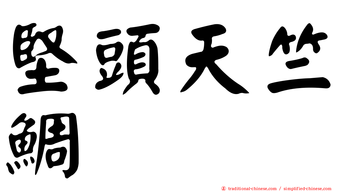 堅頭天竺鯛