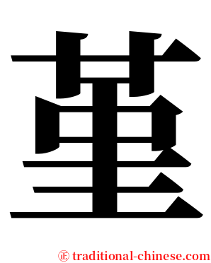 堇 serif font