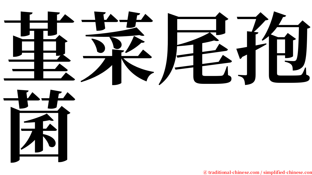 堇菜尾孢菌 serif font