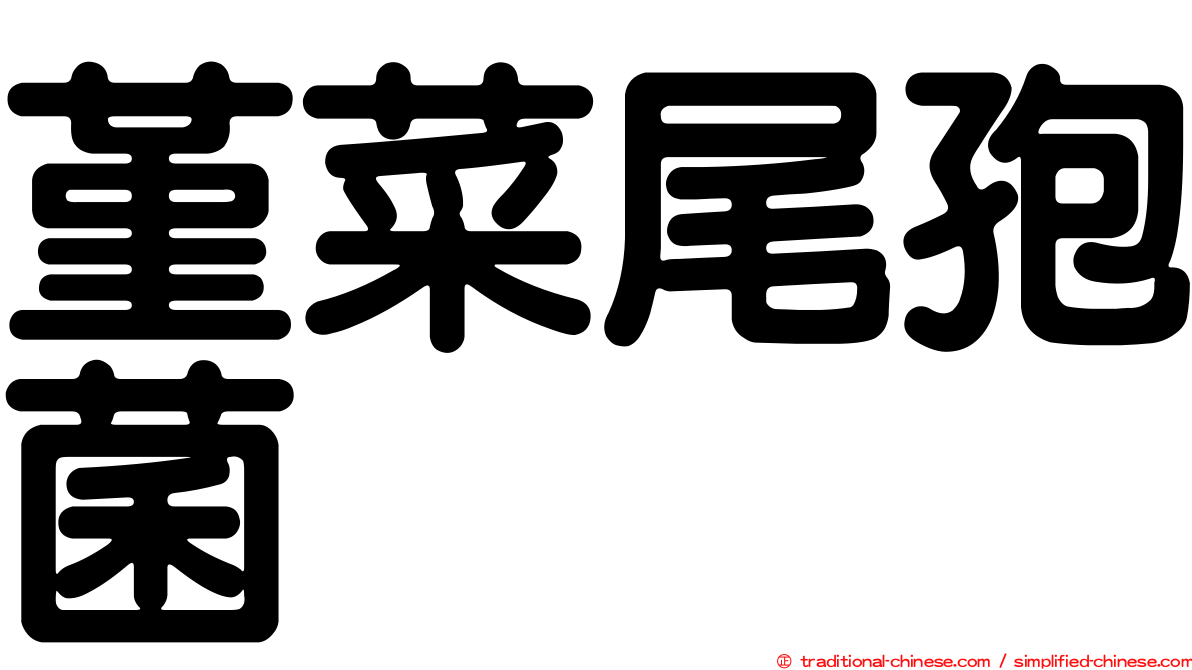 堇菜尾孢菌