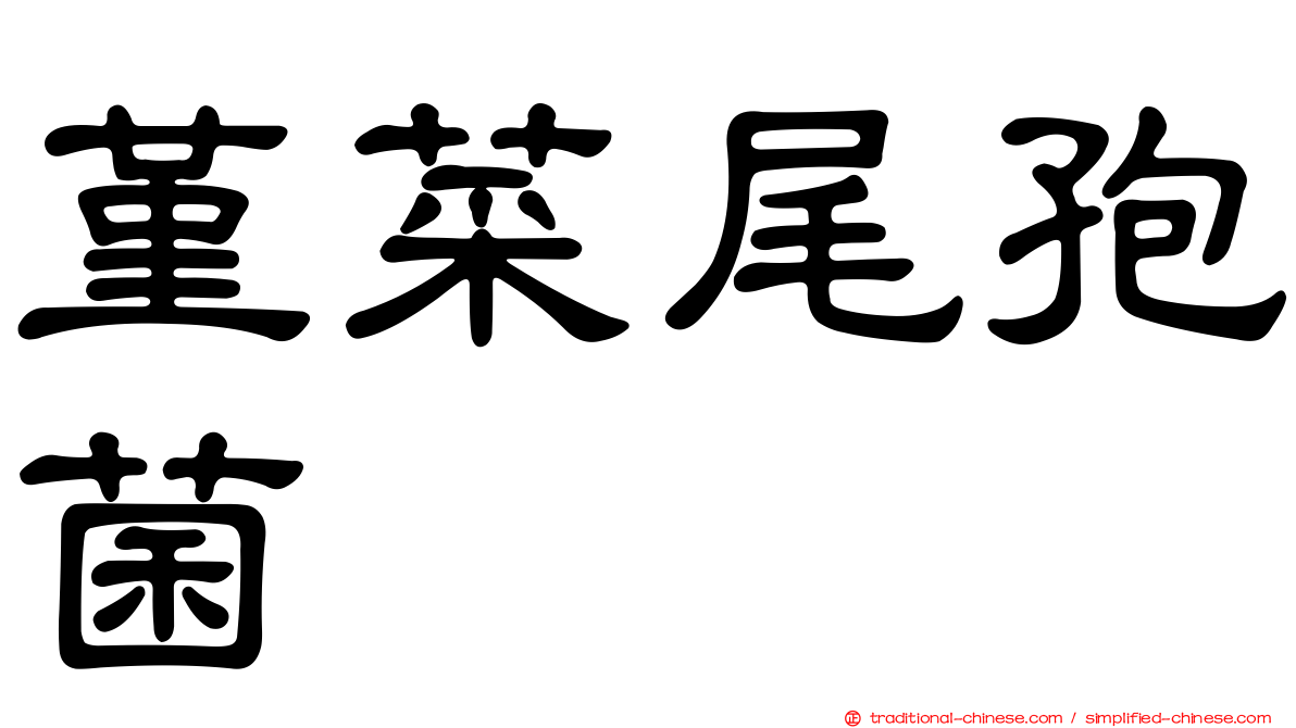 堇菜尾孢菌