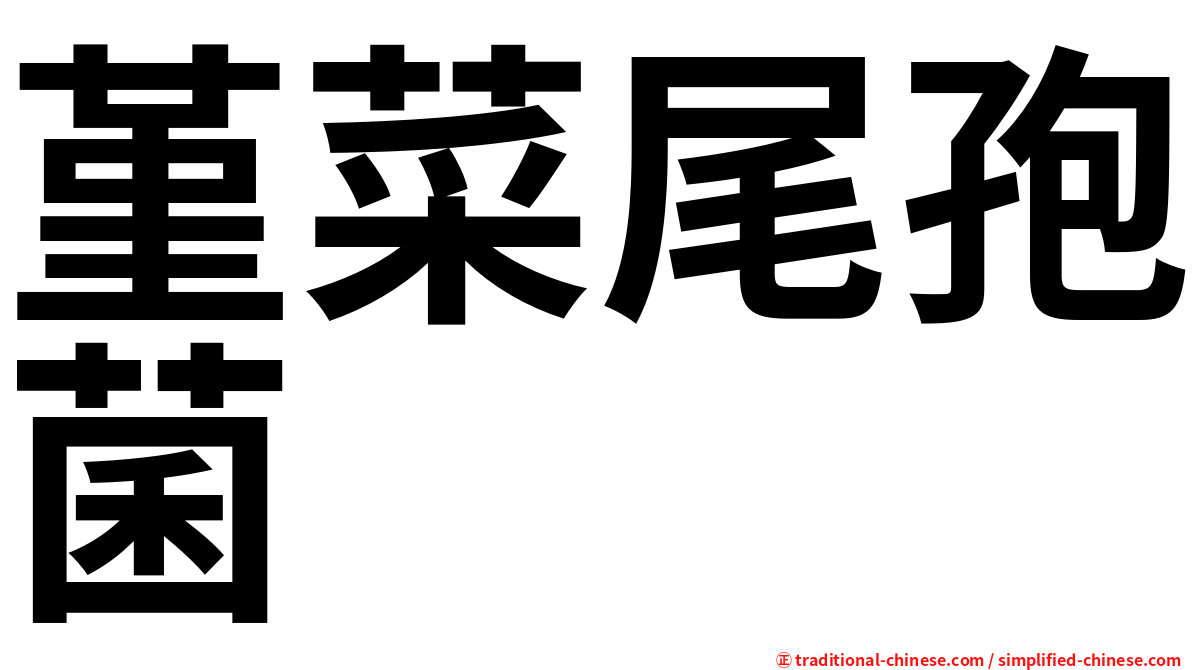 堇菜尾孢菌