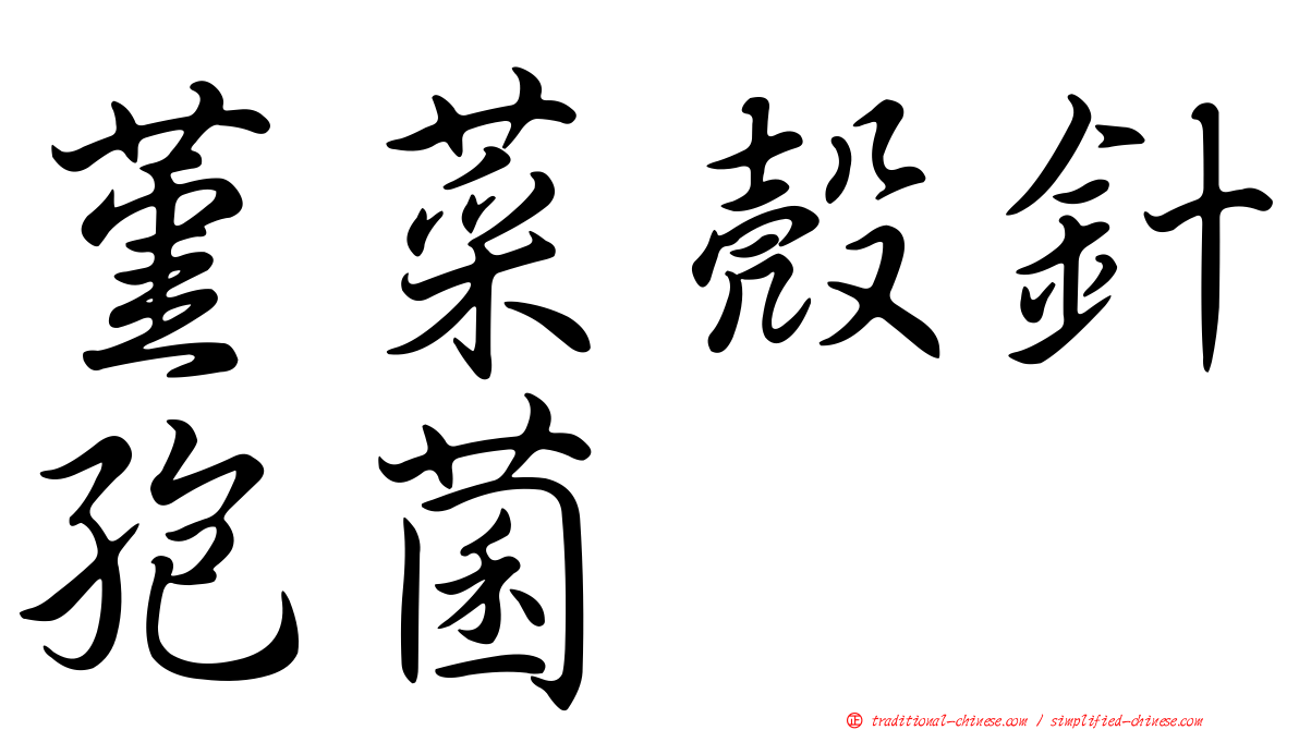 堇菜殼針孢菌