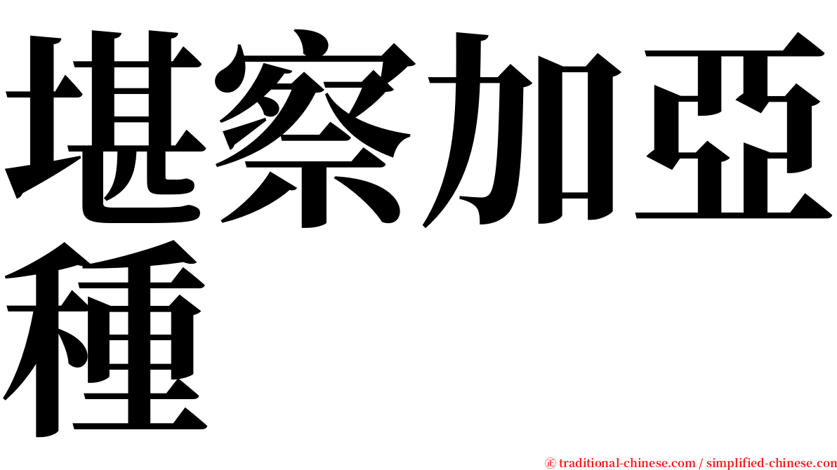 堪察加亞種 serif font