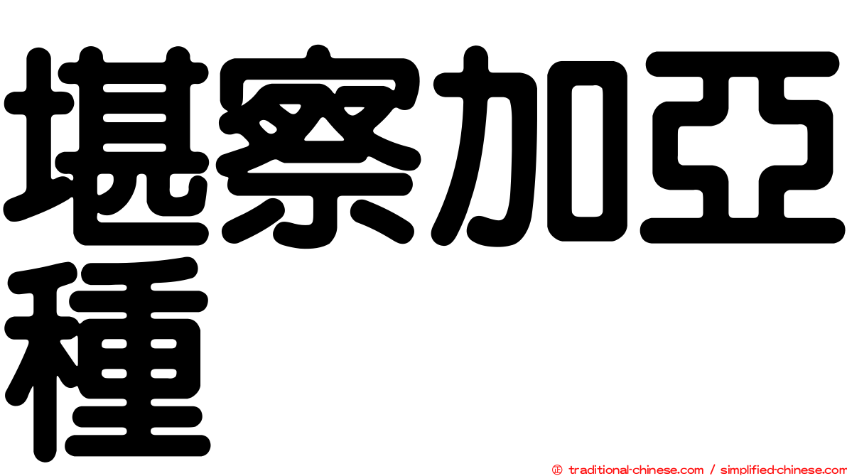 堪察加亞種