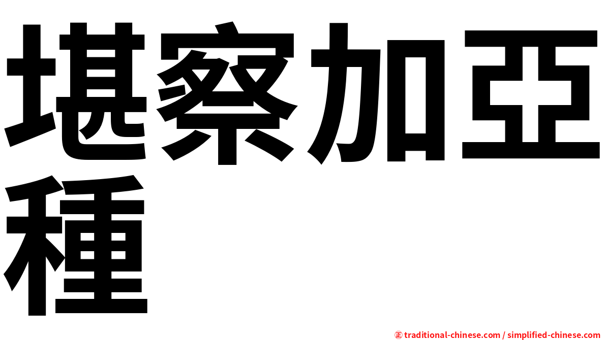 堪察加亞種