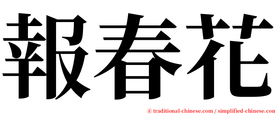 報春花 serif font