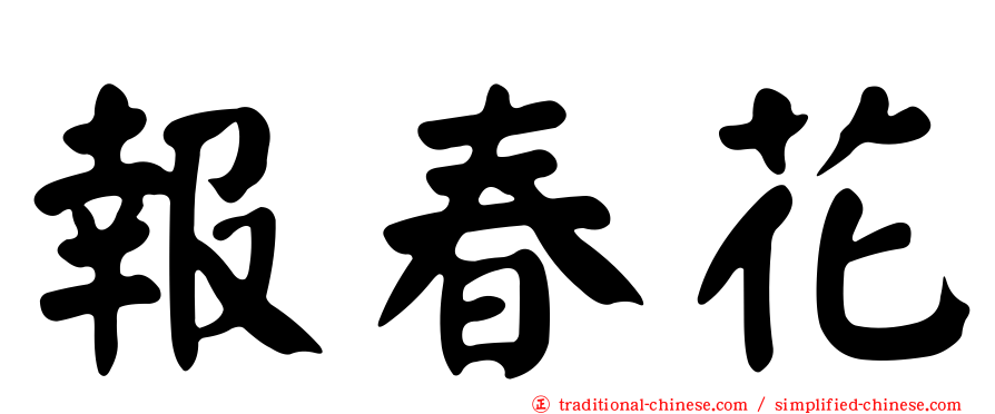 報春花