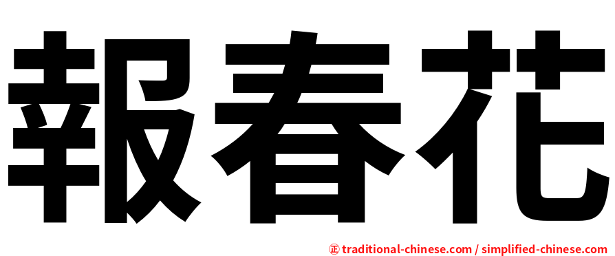 報春花