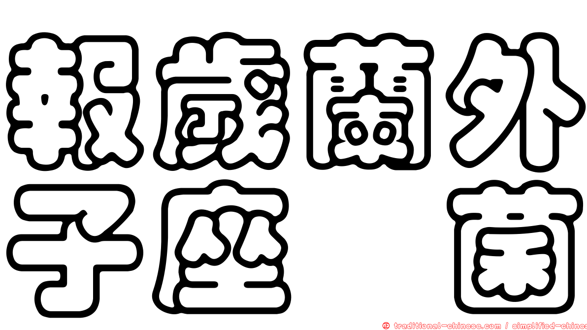 報歲蘭外子座孢菌