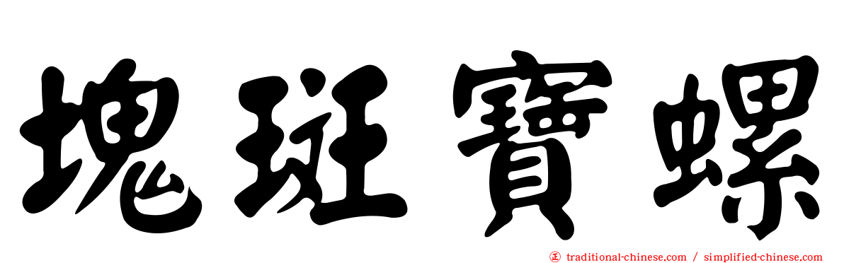 塊斑寶螺