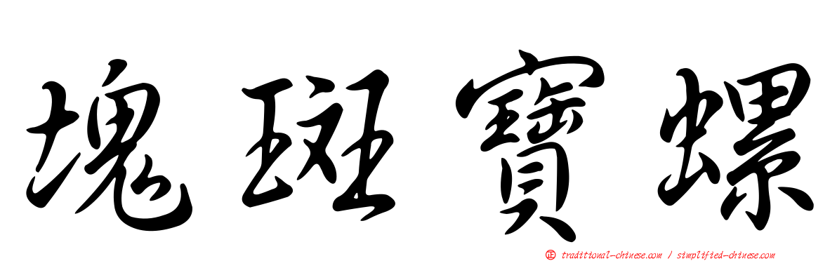 塊斑寶螺