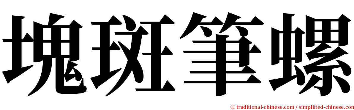 塊斑筆螺 serif font
