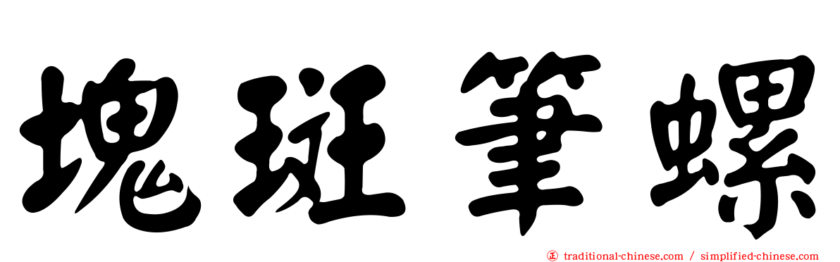 塊斑筆螺