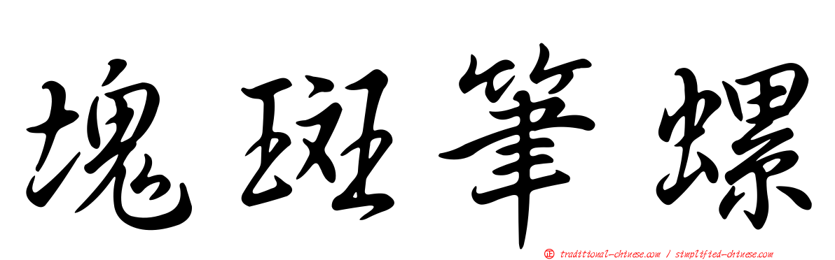 塊斑筆螺