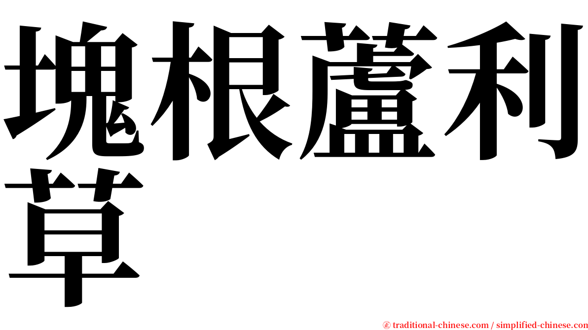 塊根蘆利草 serif font
