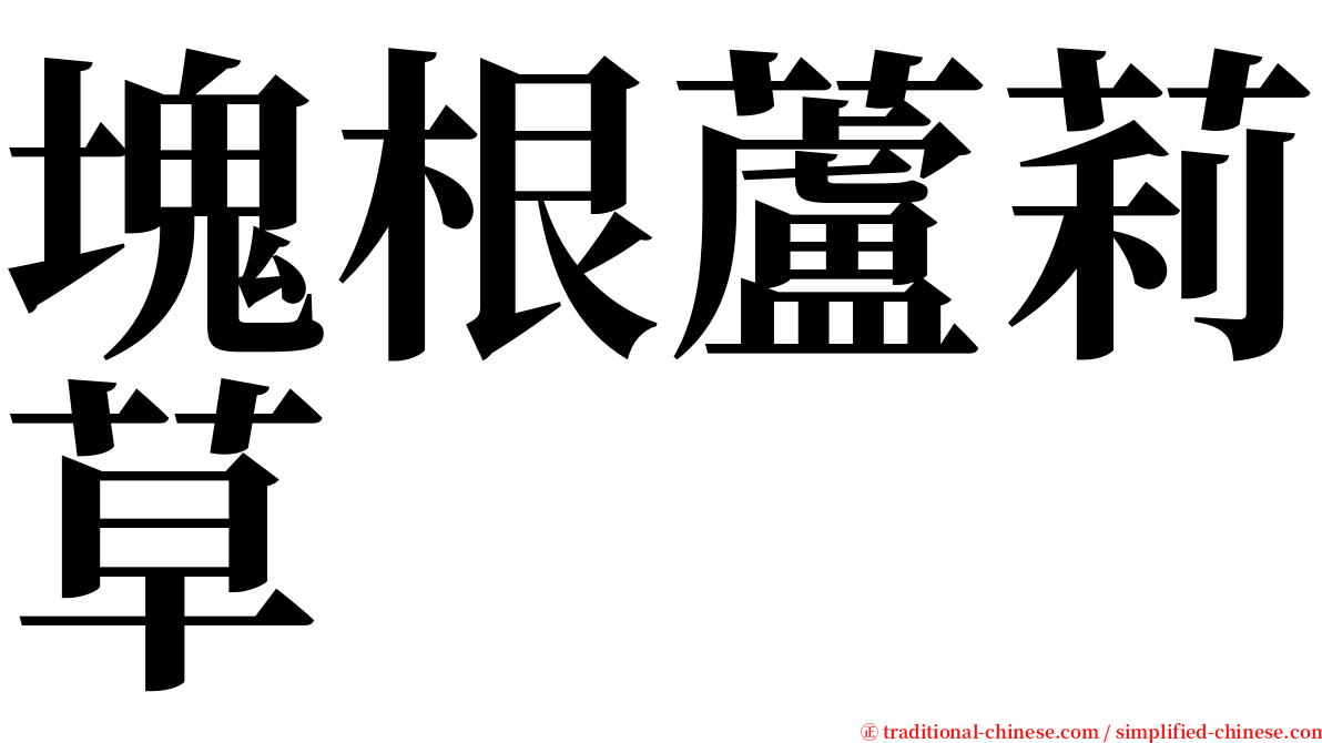 塊根蘆莉草 serif font