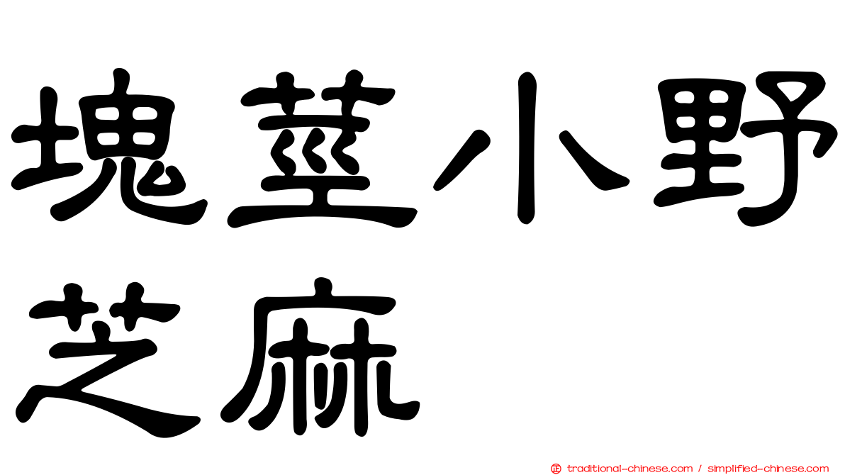 塊莖小野芝麻