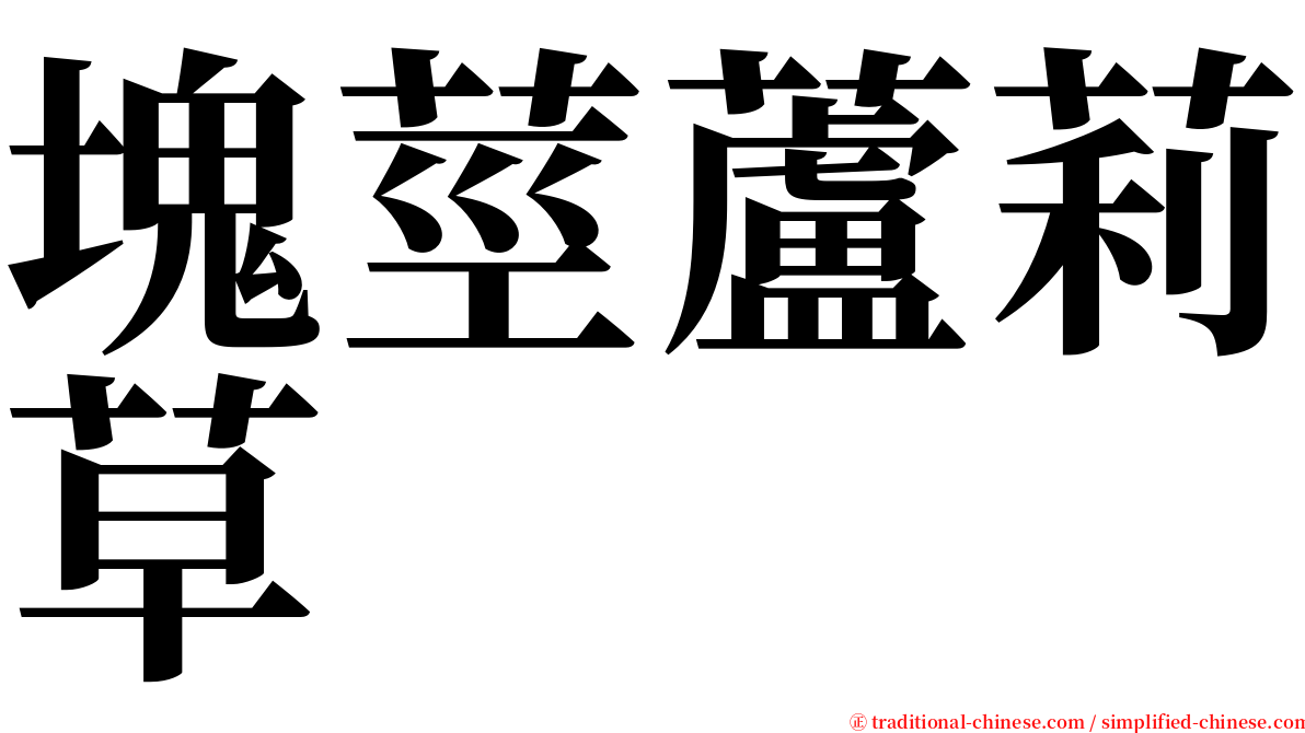 塊莖蘆莉草 serif font