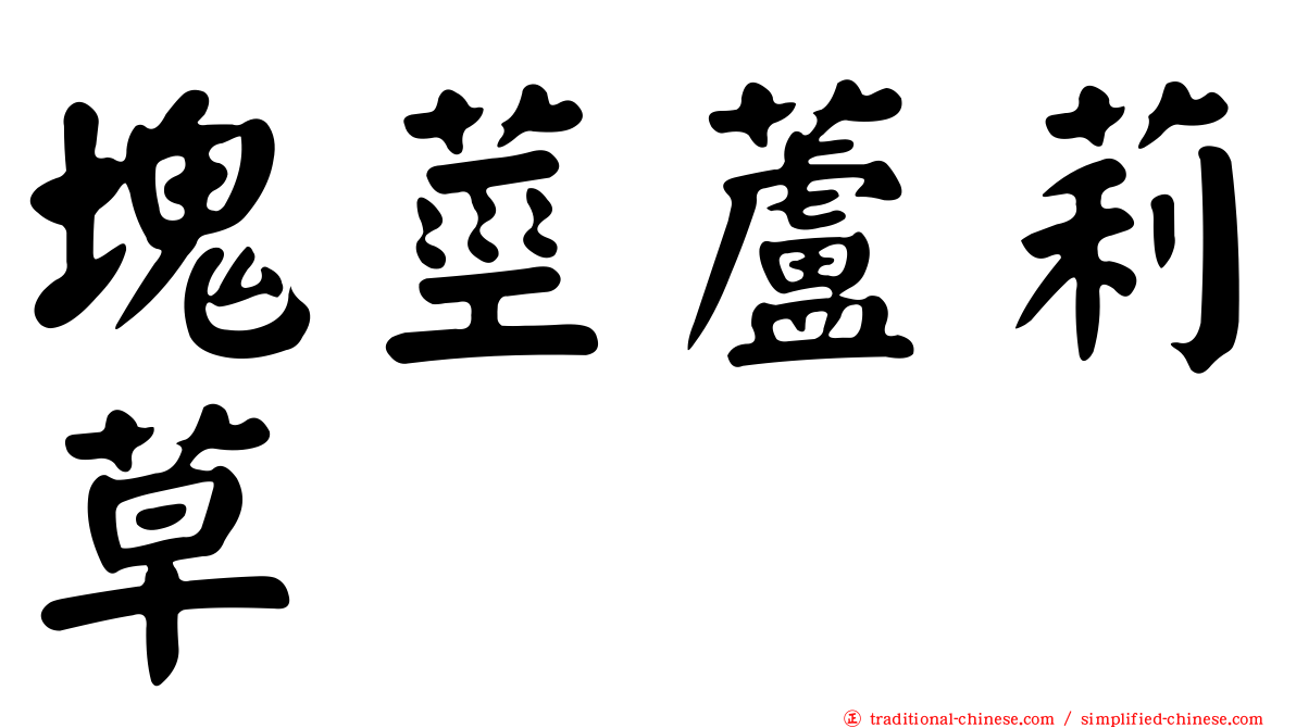 塊莖蘆莉草