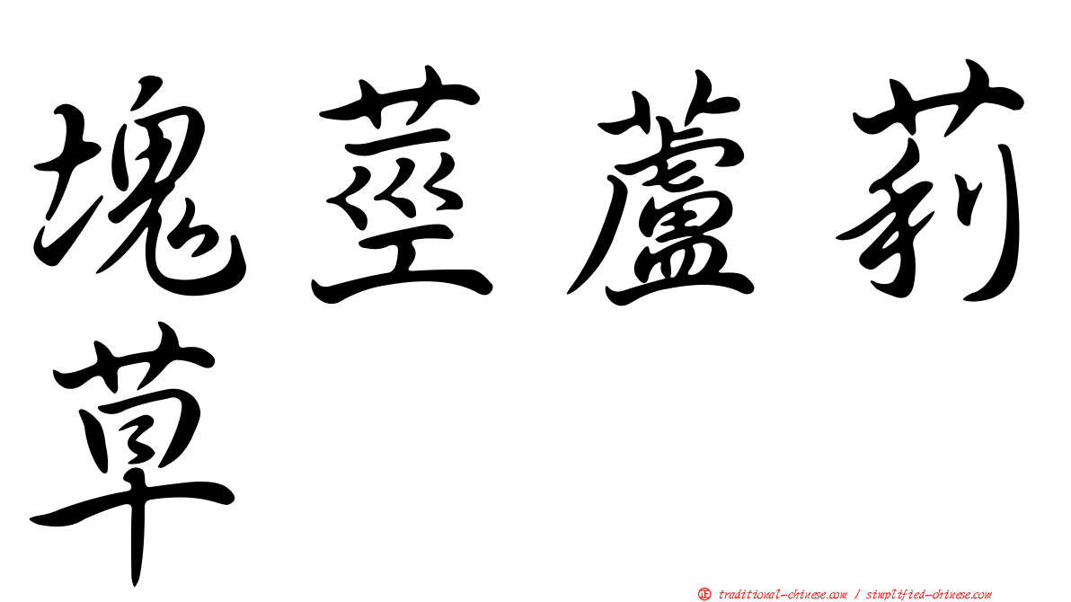 塊莖蘆莉草