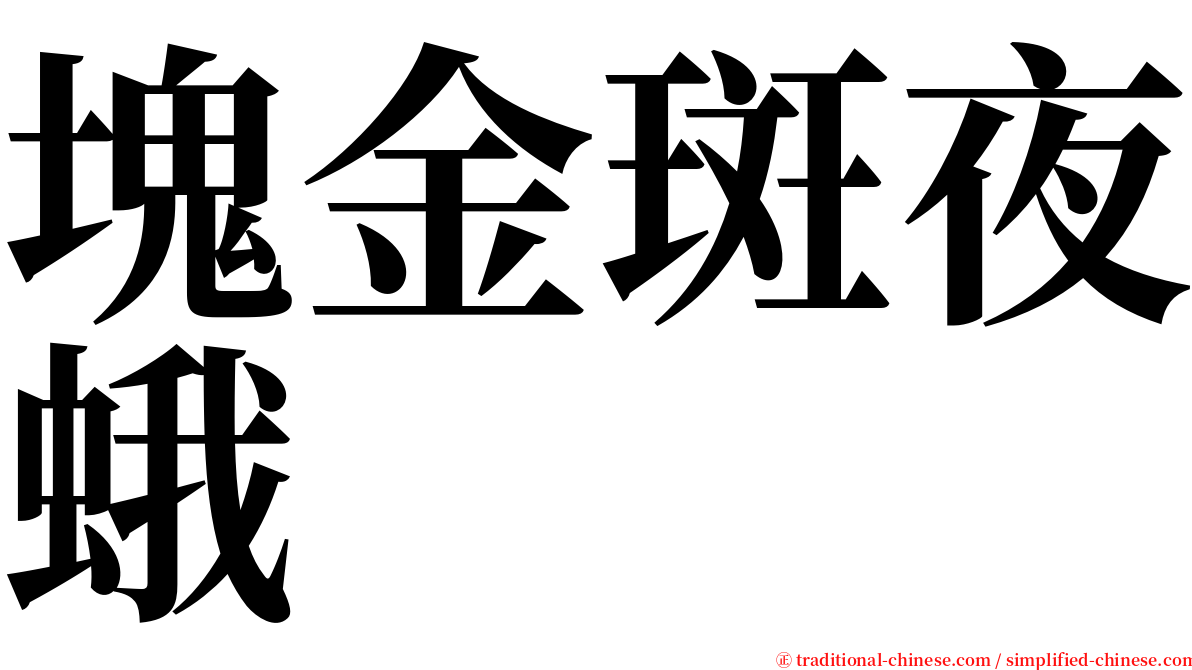 塊金斑夜蛾 serif font