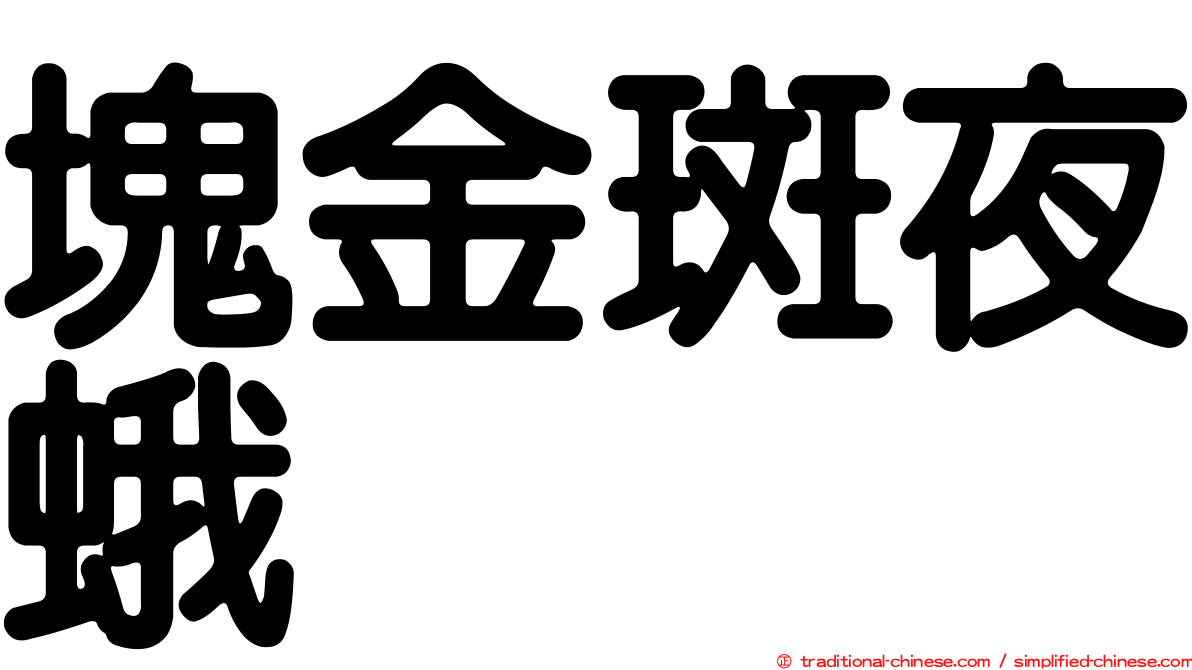 塊金斑夜蛾