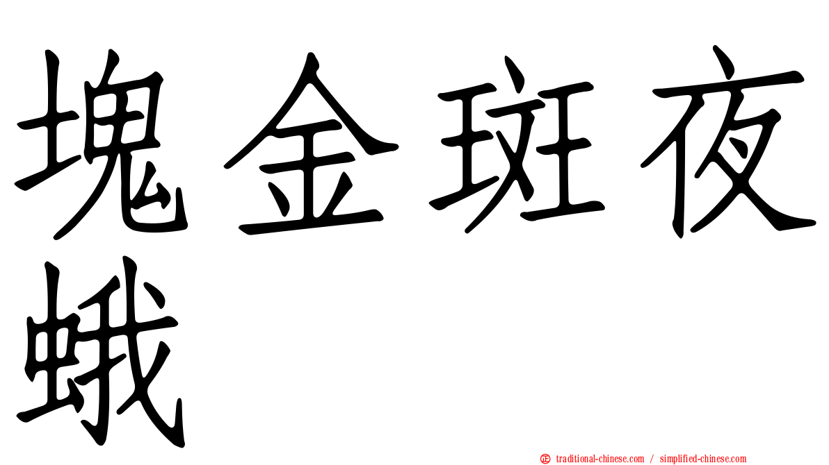 塊金斑夜蛾